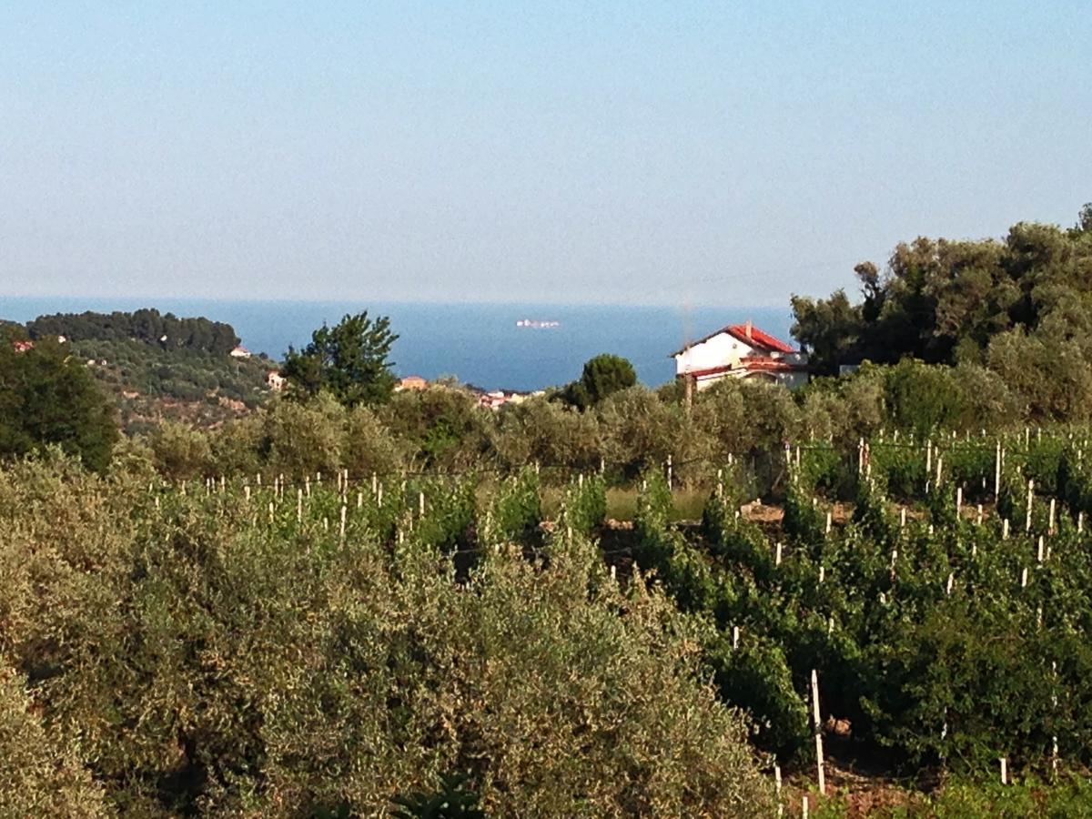 Agriturismo Ada Musso Diano Borello Quarto foto