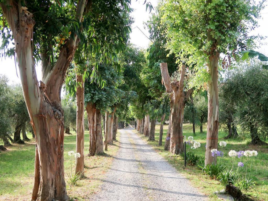 Agriturismo Ada Musso Diano Borello Exterior foto